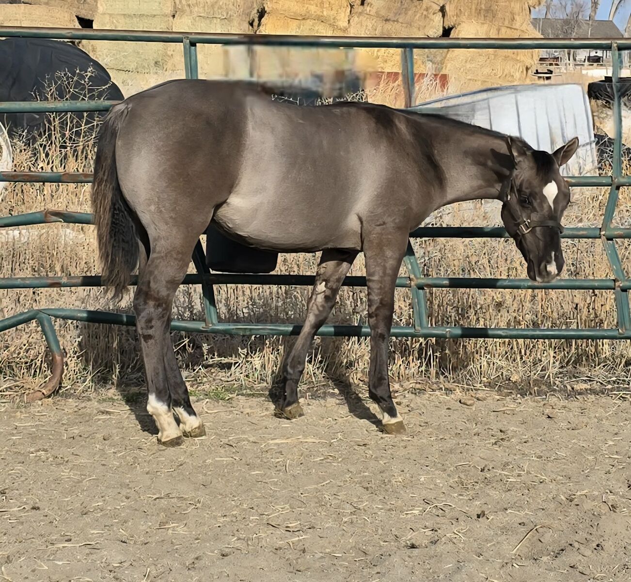 Zans Valentine Candy