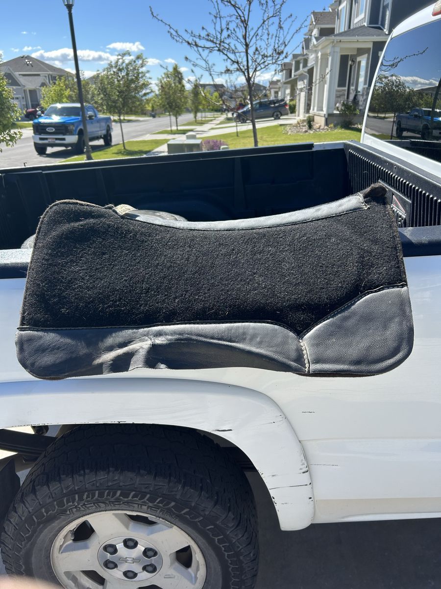 Best Ever Saddle pad