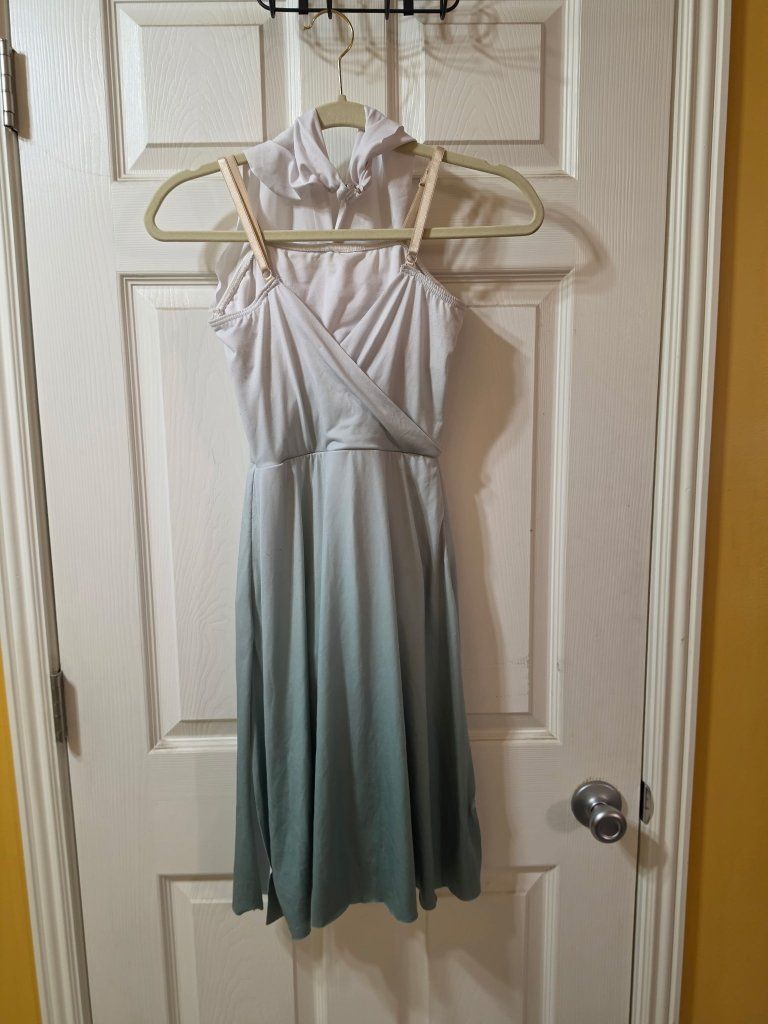 Figure skate dress