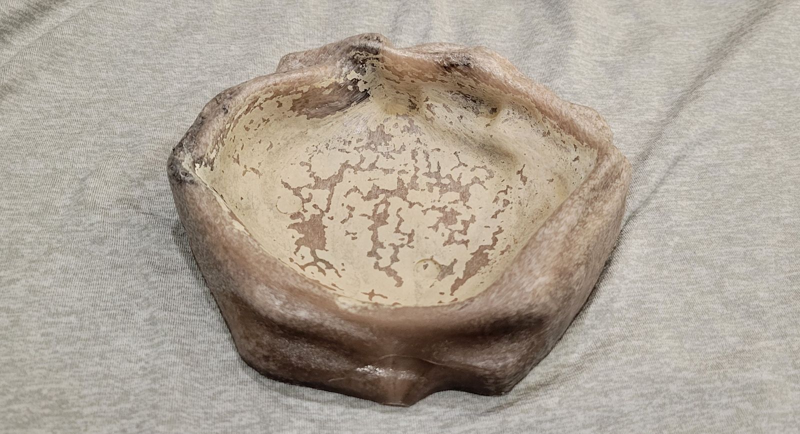 Main image 5