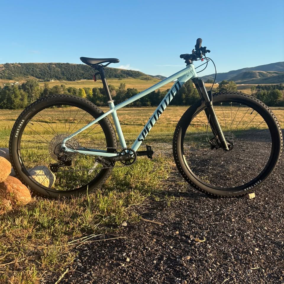 Specialized Rockhopper Elite 29" Mountain Bike