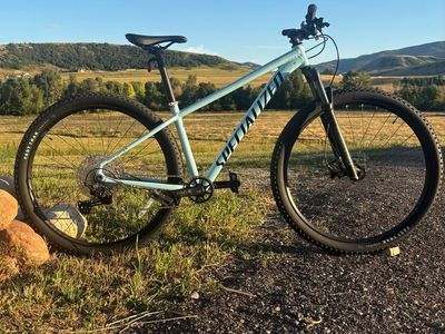 Specialized Rockhopper Elite 29" Mountain Bike