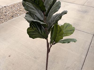IKEA FEJKA Artificial Potted Fiddle-Leaf Fig Plant 7.5" Indoor/Outdoor