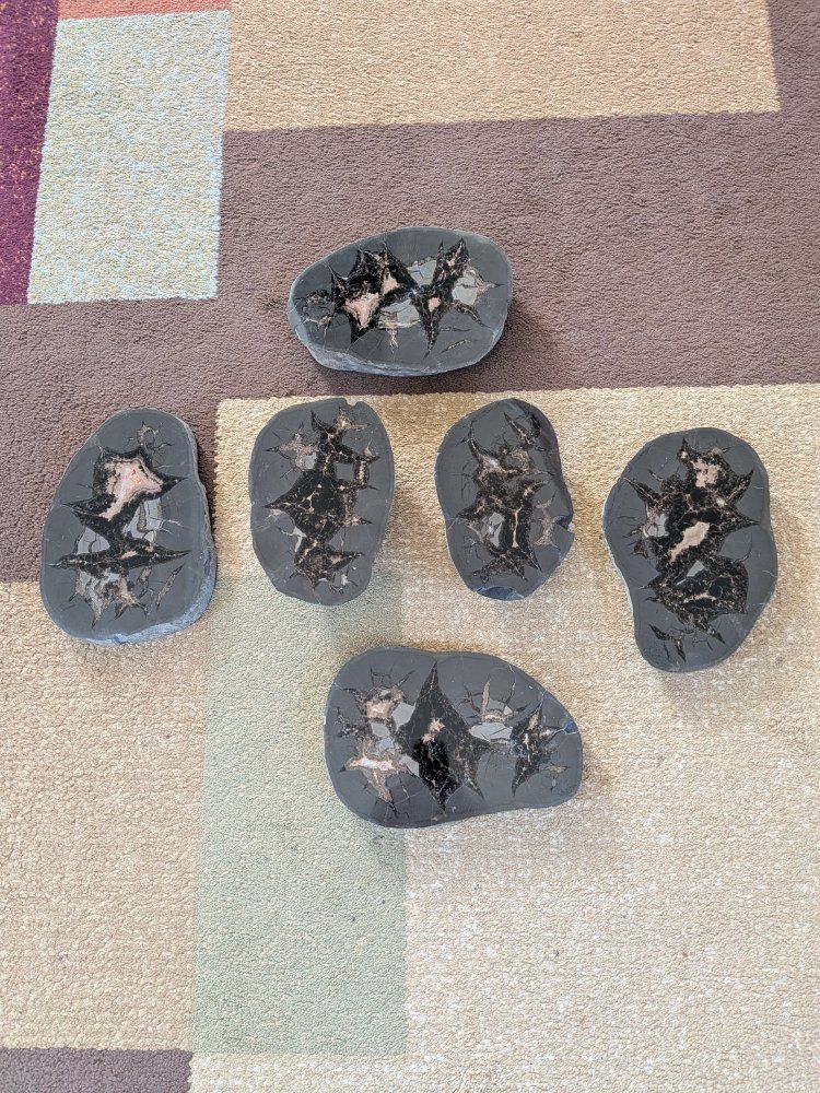 Septarian Dragon Egg Gemstone Calcite Colorado Crystal Rock 6 Piece 21.3 Pounds