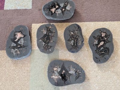 Septarian Dragon Egg Gemstone Calcite Colorado Crystal Rock 6 Piece 21.3 Pounds