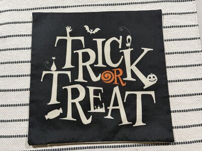 2 Halloween Pillow Covers