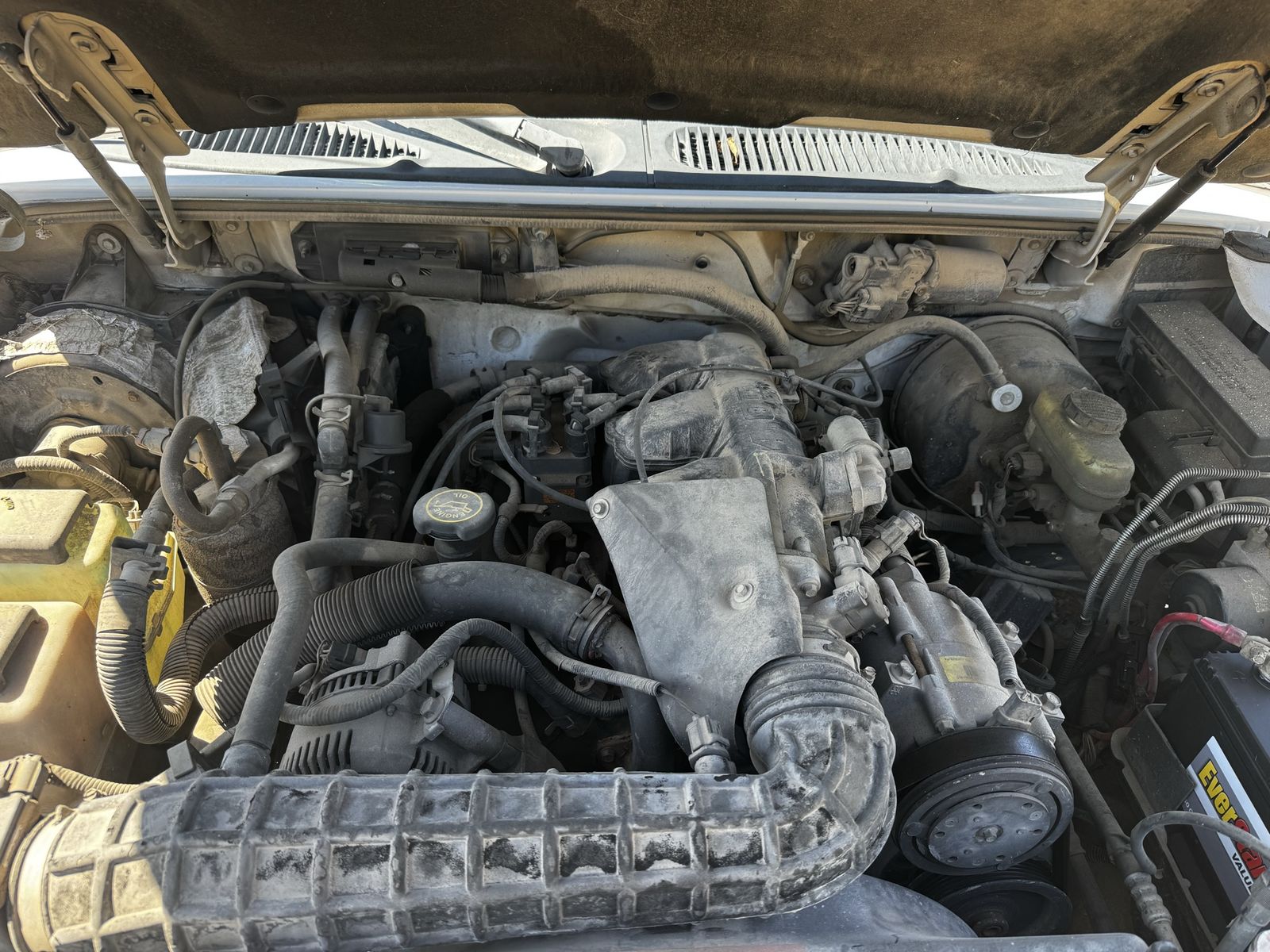 Main image 5