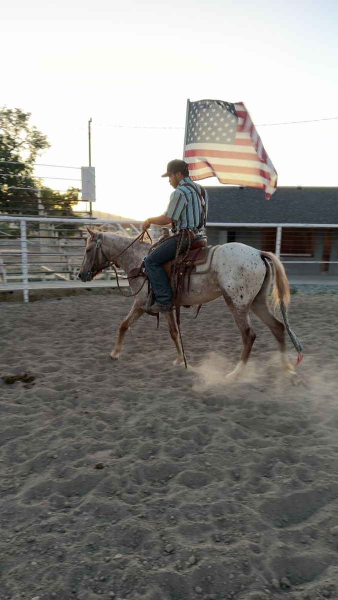 Appaloosa Filly