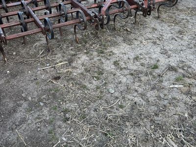 10' Spring Tooth Harrow