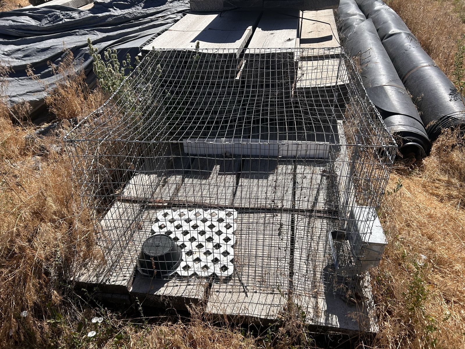 Rabbit cages
