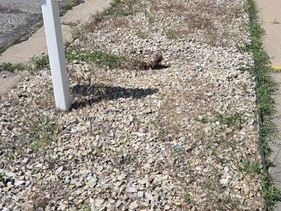 FREE Garden Rocks