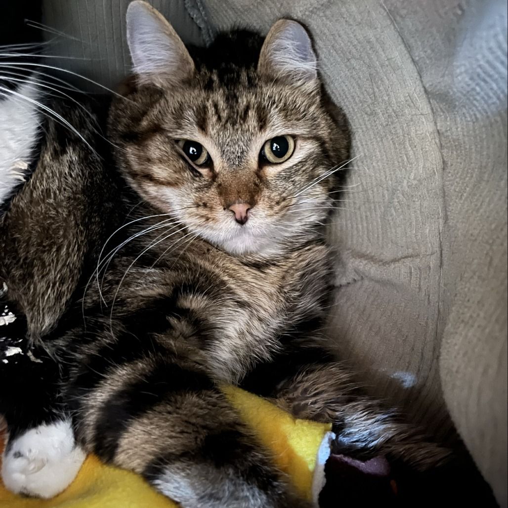 Hello my name is Slidell