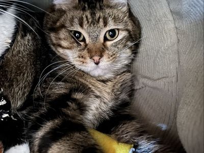 Hello my name is Slidell