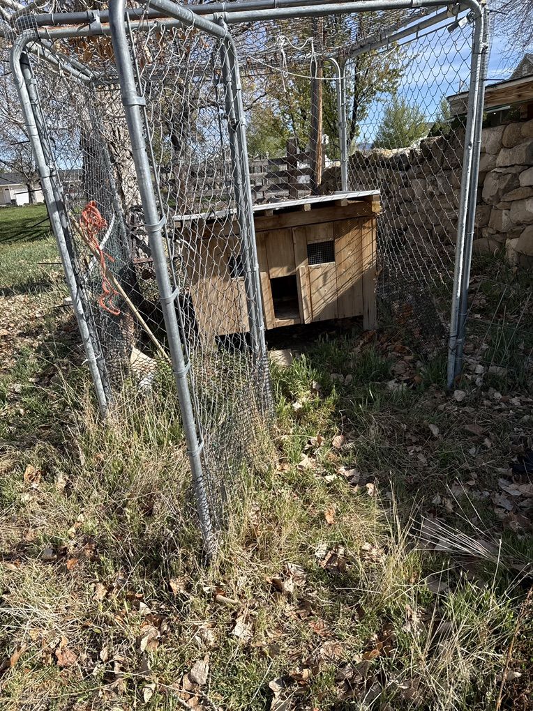 Chicken Brooder Coop/Shelter