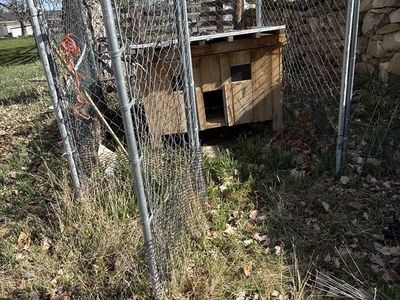 Chicken Brooder Coop/Shelter