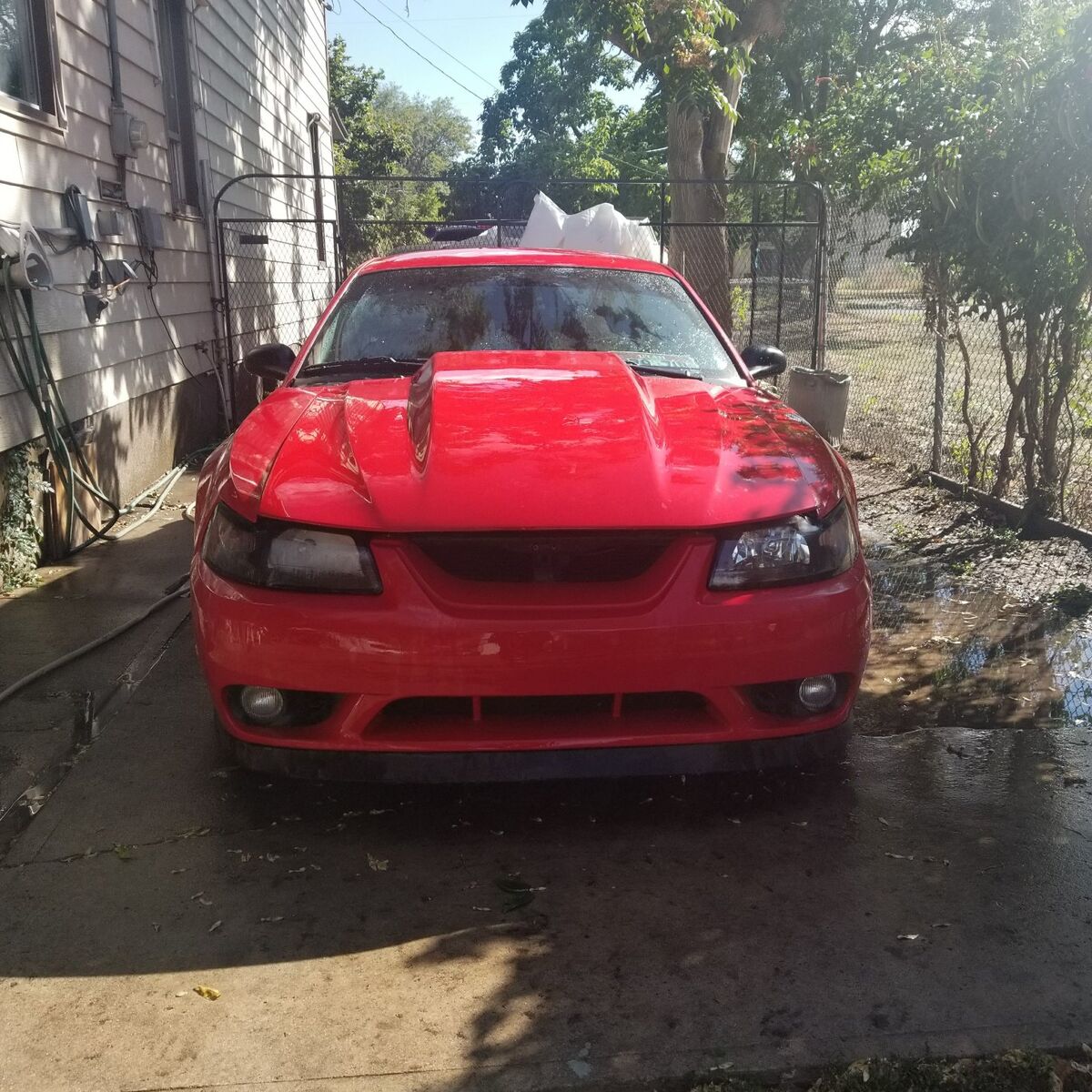2001 FORD MUSTANG SVT COBRA SVT