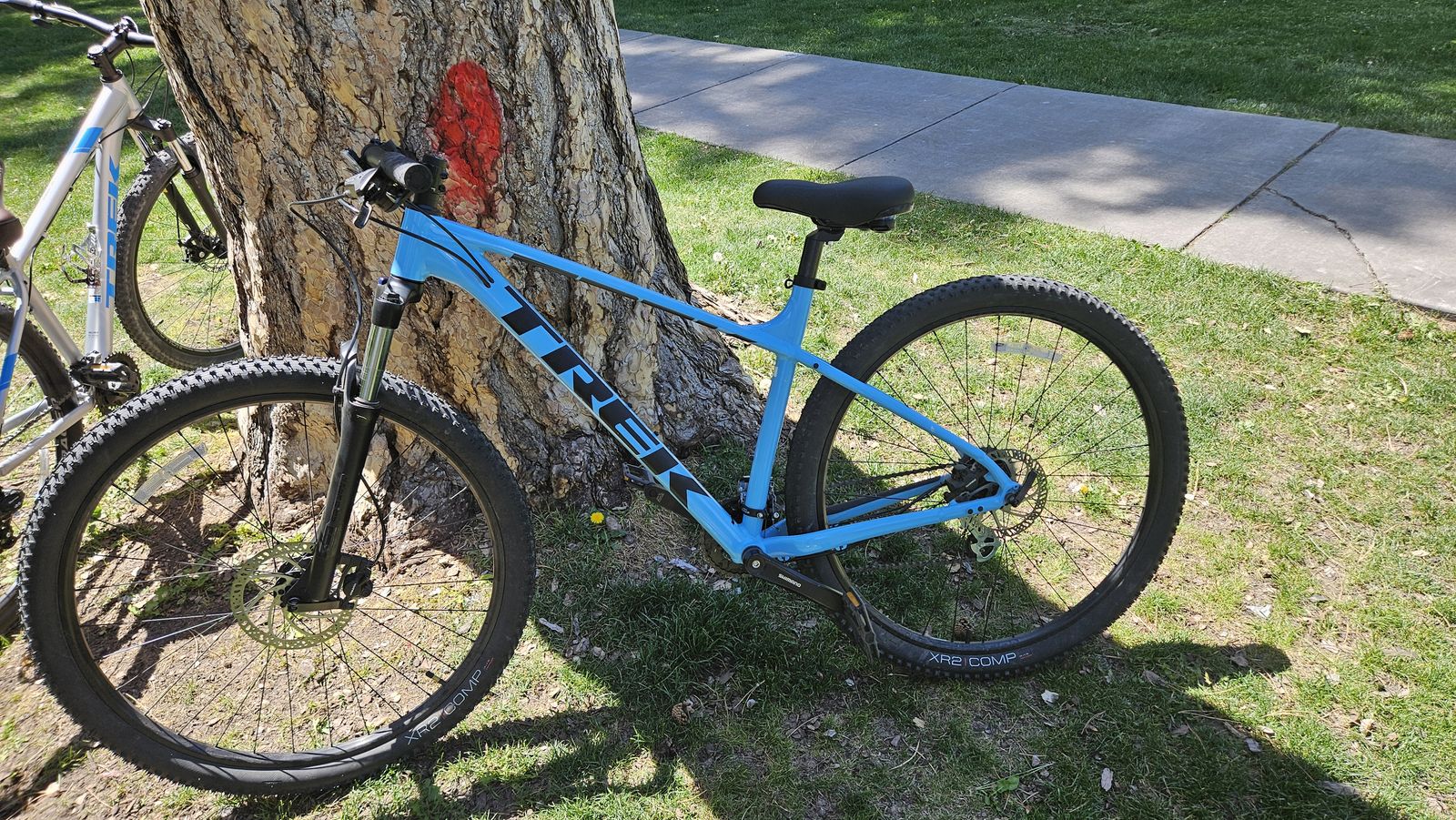 Trek Marlin 5 Mountain Bike