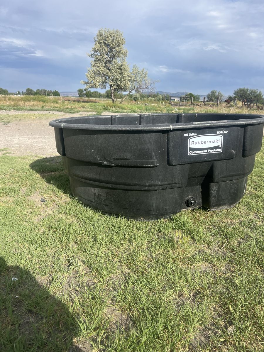 I'm Selling These 2 Gallons Totally New