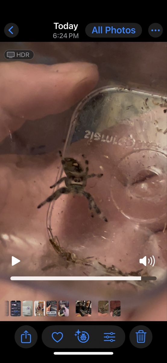 Main image 3