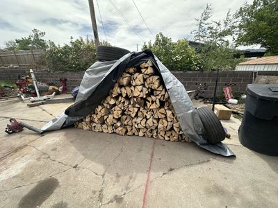 Firewood 🪵 $5