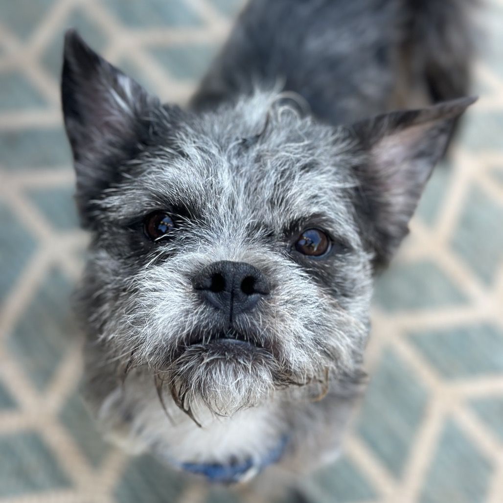 Hello my name is Eggo