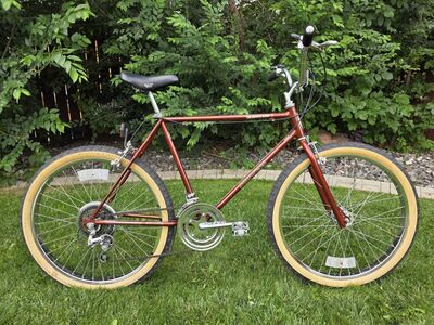 1983 Schwinn Sidewinder SW1 Vintage MTB