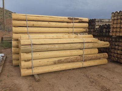 10" Rustic, graded house log package