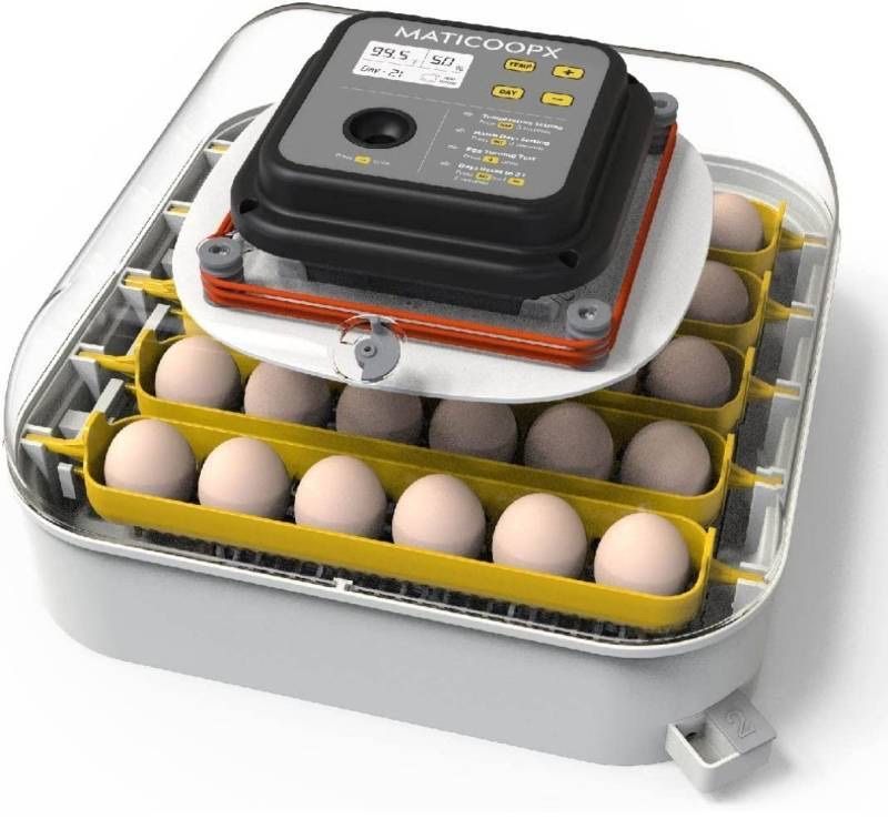 Incubator Rental: Maticoopx