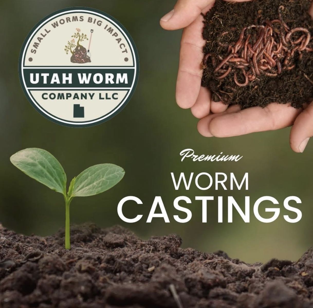 Fresh Worm Castings
