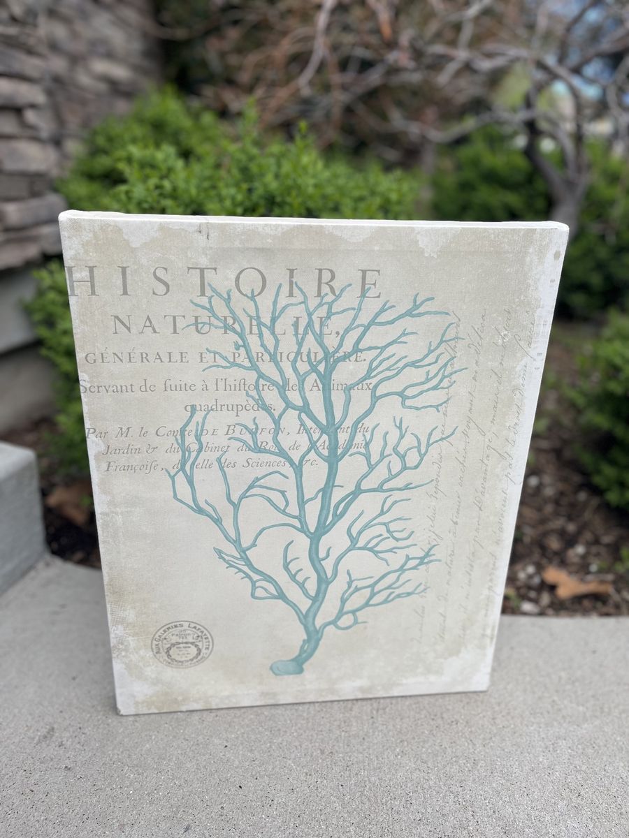 Large Coastal Coral Reef Art Piece | $10 OBO