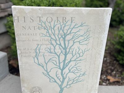 Large Coastal Coral Reef Art Piece | $10 OBO