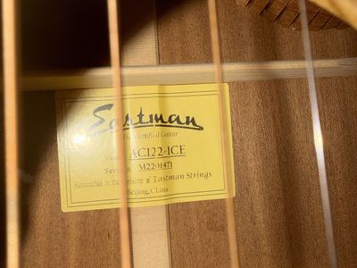 Eastman AC122-1CE Cutaway Acoustic-Electric Guitar with Padded Gig Bag