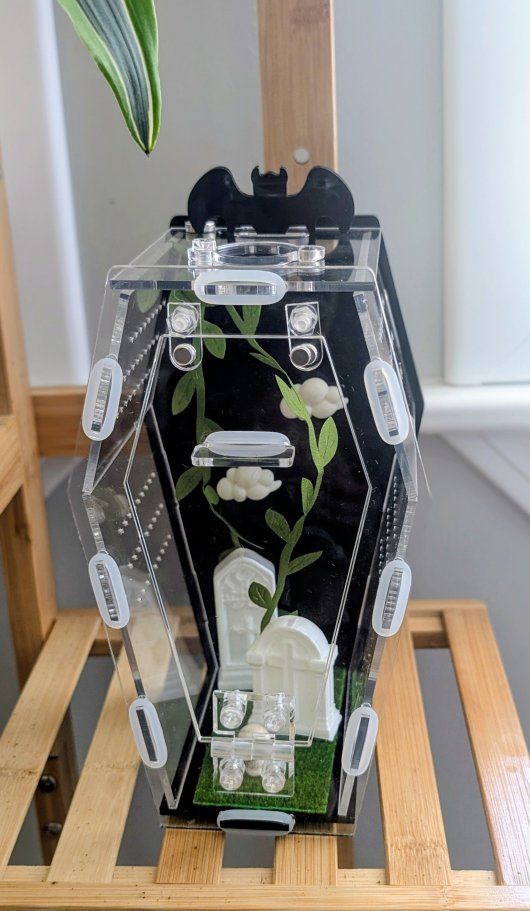 Jumping spider enclosure, coffin spider house for bold or regal jumping spider. No spider