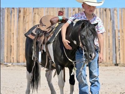 THE PONY EVERY CHILD DREAMS OF