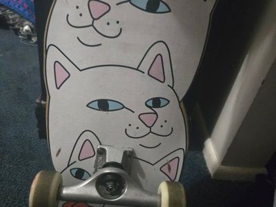 skateboard rip n dip