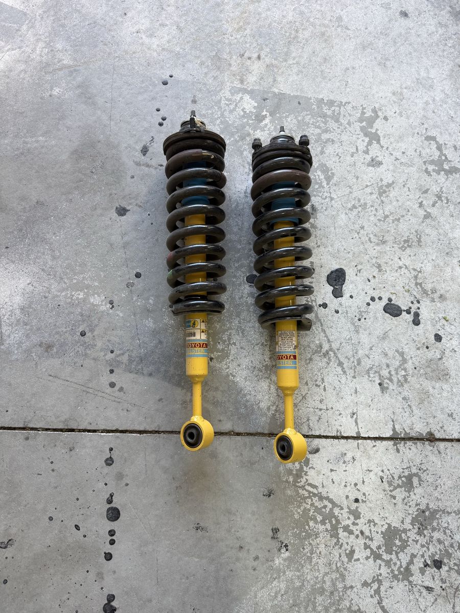 Bilstein struts