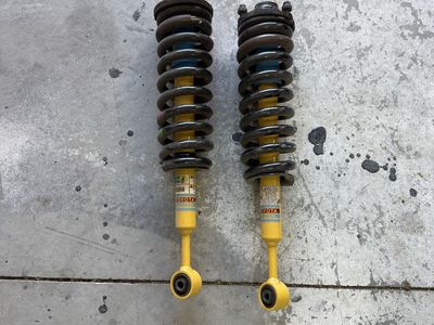 Bilstein struts