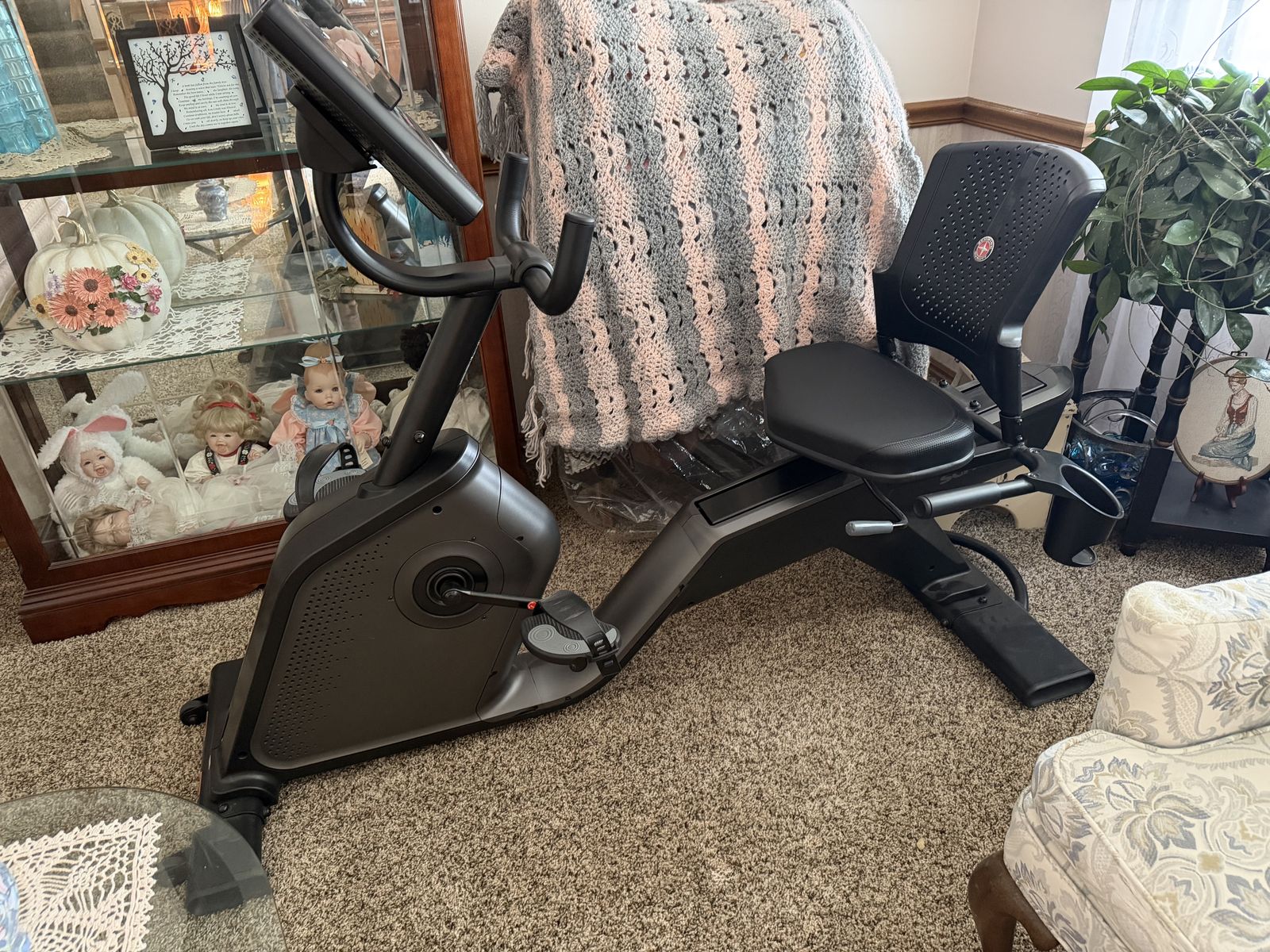 Schwinn Recumbent Bike