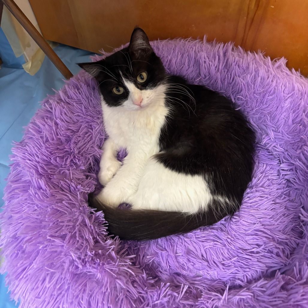 Hello my name is Maka