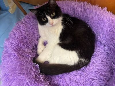 Hello my name is Maka