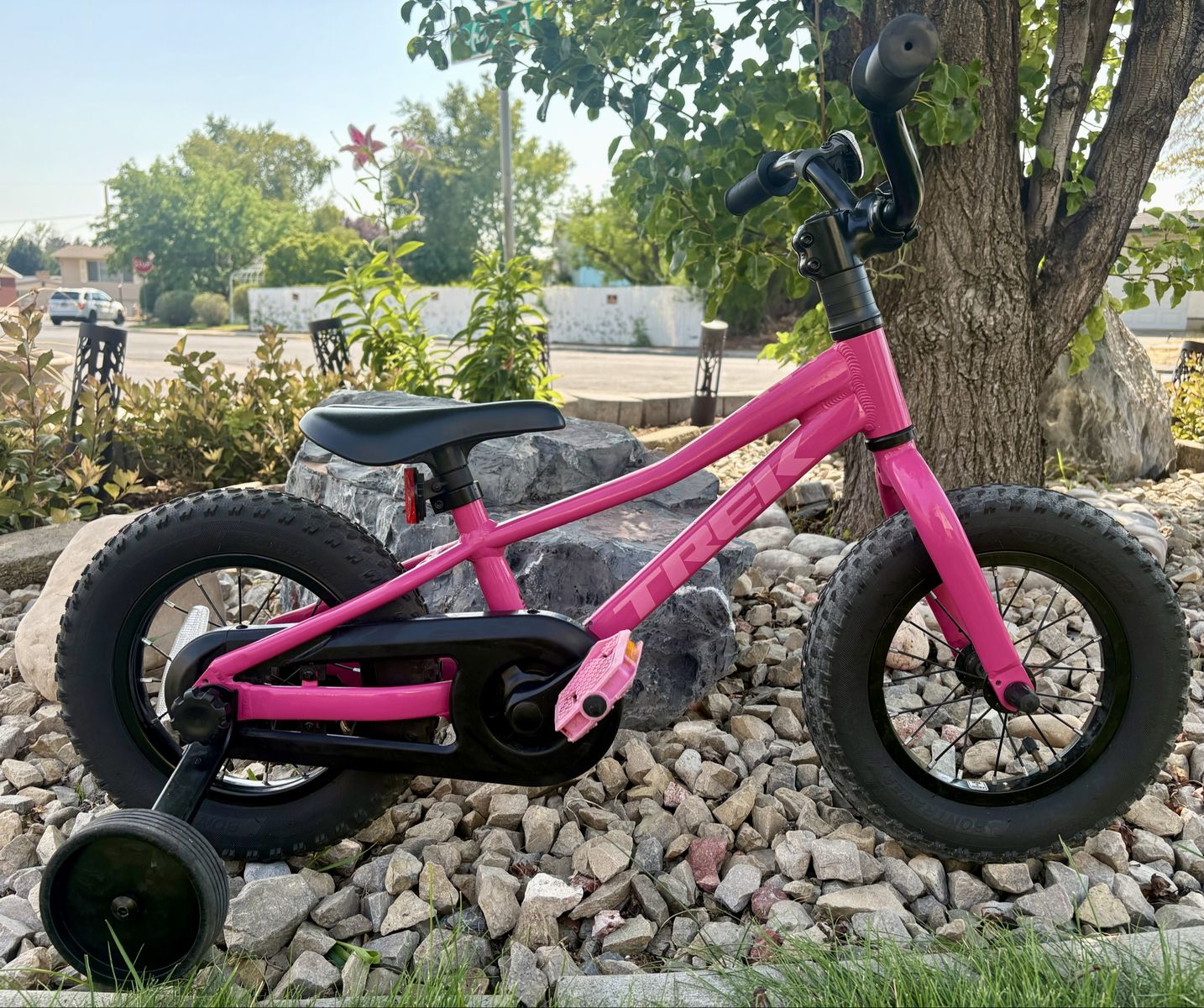 12” Trek Precaliber bike with training wheels 