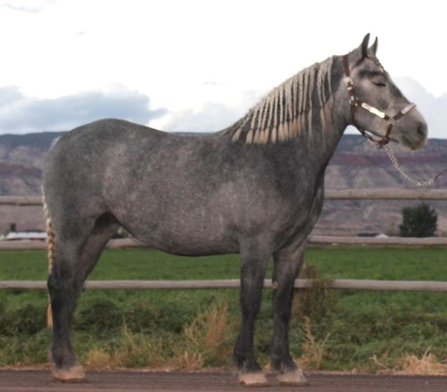 Beautiful, Kind And Ready To Go!