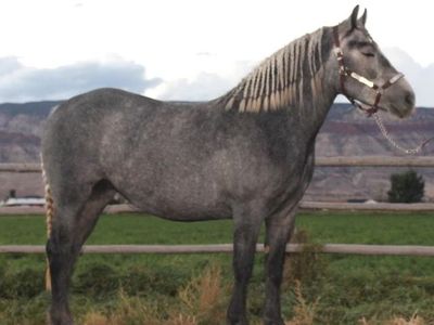 Beautiful, Kind And Ready To Go!