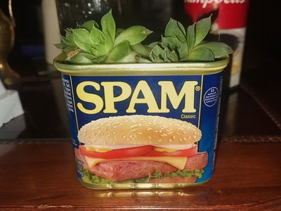 SPAM Classic Can Planter with Live Succulent - Unique Home Decor