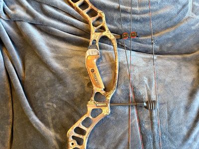 Hoyt Vector 35 (30inch Draw, 60-70lb Limbs)