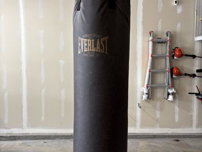 Everlasting Boxing Bag
