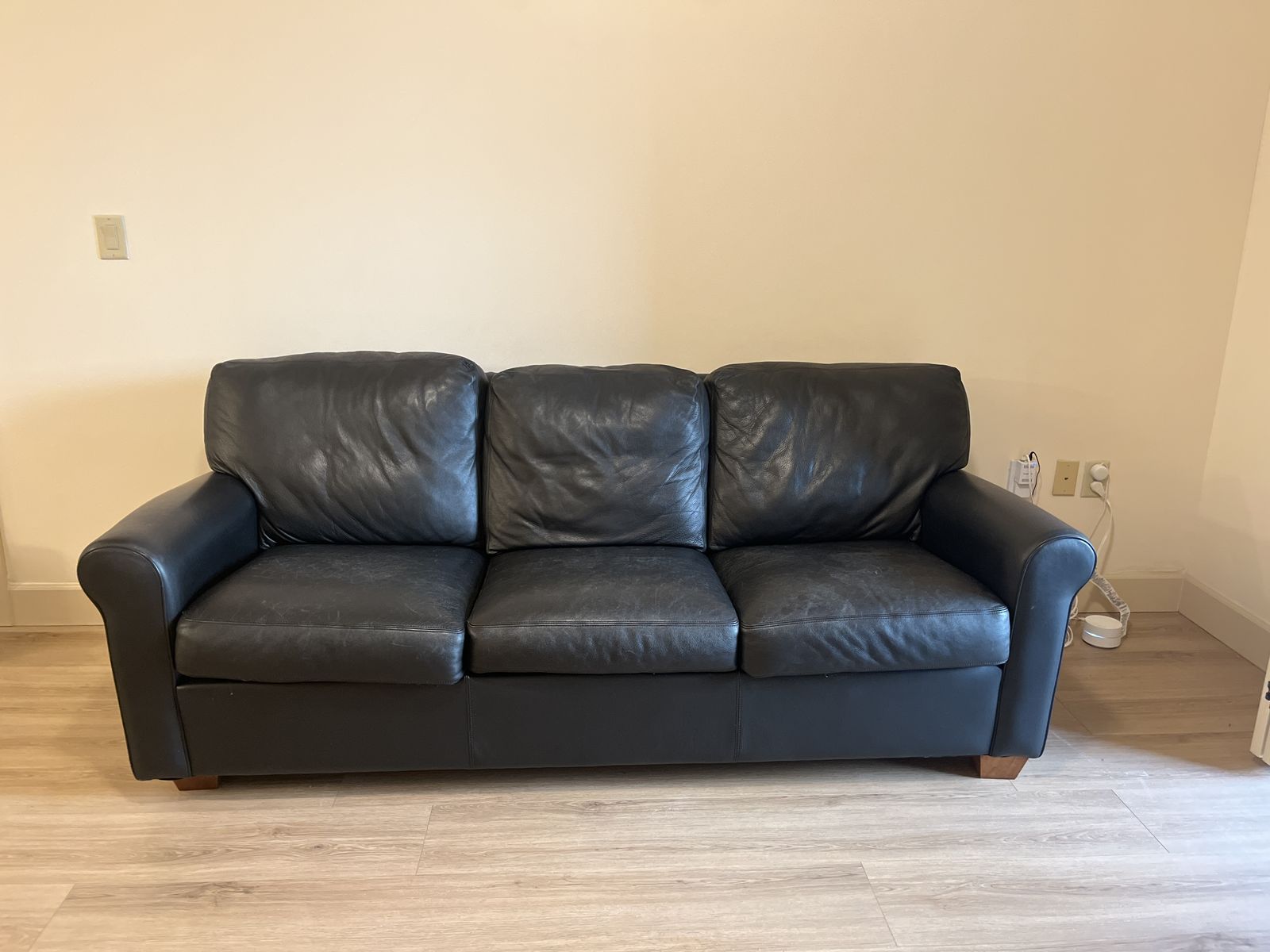 Couch: American Leather