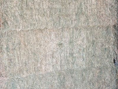3rd crop alfalfa 3x3 bales