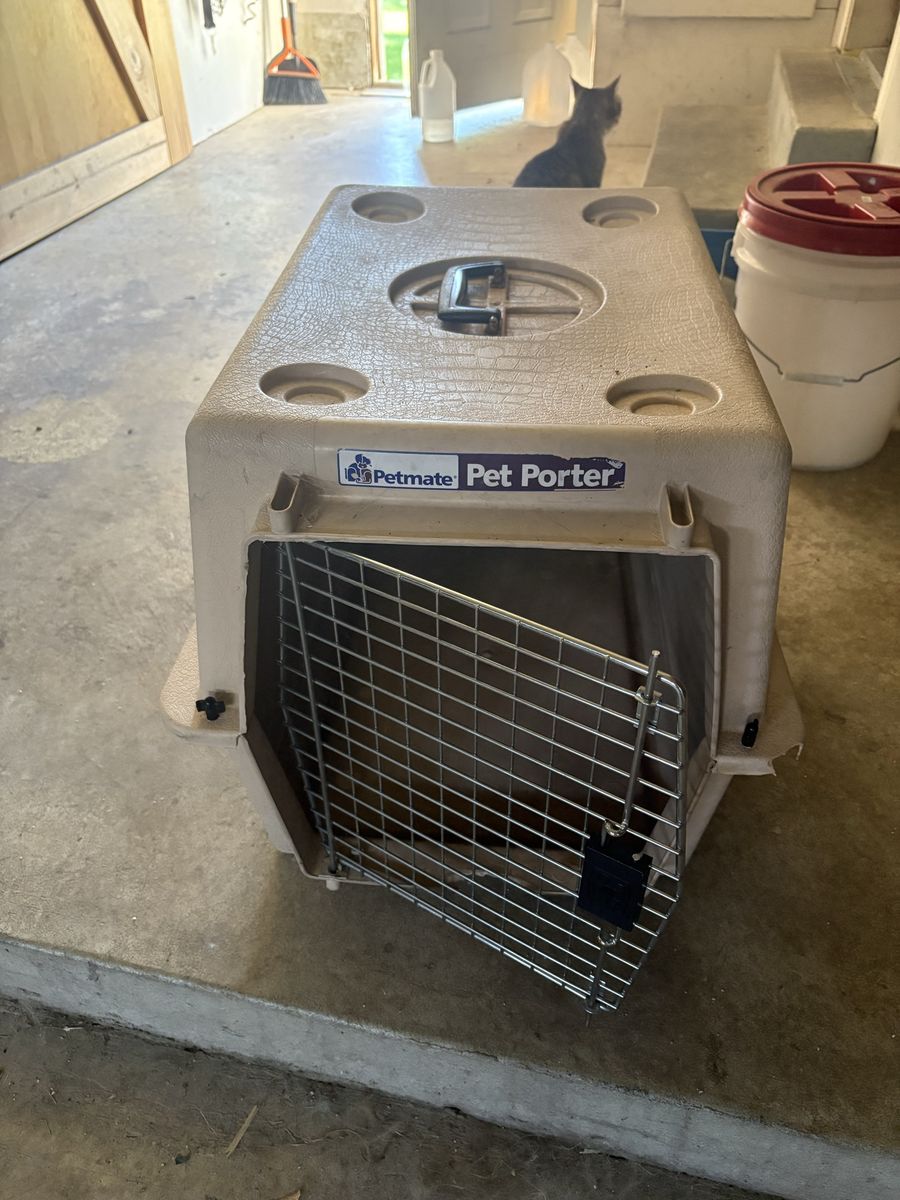 Petmate Pet Porter Hard Plastic Dog Cat Kennel Travel Crate