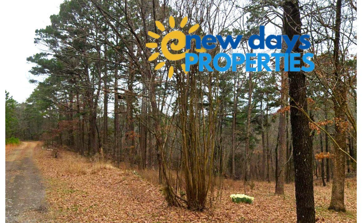 0.26-Acre Mountain View Arkansas Land for Sale